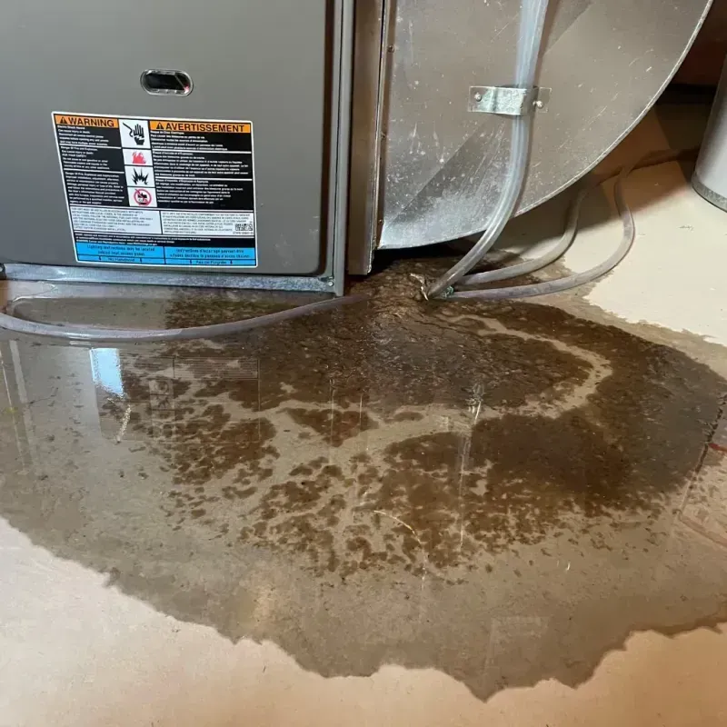 Appliance Leak Cleanup in Prairie County, AR